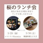 紅葉山庭園 「桜のランチ会」令和6年3月29日(金)・3月30日(土)