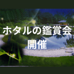 5/30(金)～6/1(日) 駿府城公園ホタルプロジェクト 夜間特別開園「ホタル舞う初夏の紅葉山庭園」(4/23掲載)