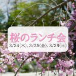 【受付終了】紅葉山庭園「桜のランチ会 」3/24(木)～3/26(土)