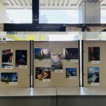 【静岡市役所1階青葉側スペースにて展示中】第4回駿府城公園公式フォトコンテスト「受賞作品展示会」開催中！（3月9日掲載）